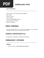 photo cv format A4 pdf
